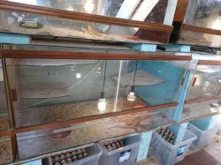 velke terarium 130x70x60cm