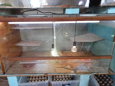 velke terarium 130x70x60cm
