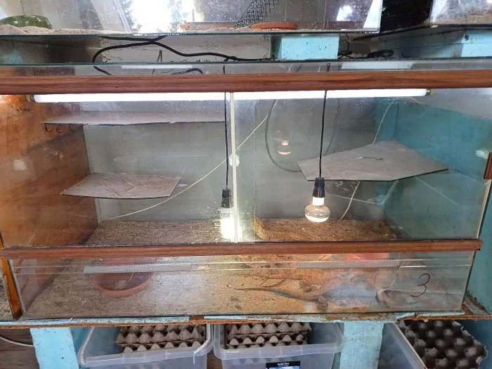 velke terarium 130x70x60cm