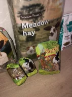 Zakrslý králík