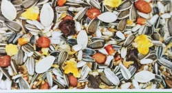 Týniště nad Orlicí 25.2.2024 přijímáme objednávky.