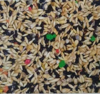 Kladno 3.3.2024 přijímáme objednávky.