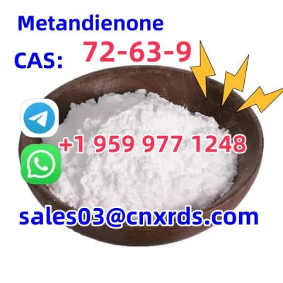 Sales Metandienone CAS: 72-63-9 the best seller, good quality and good price
