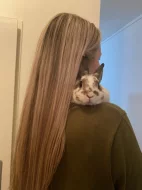Zakrsly králík