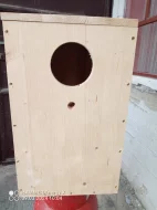 BUDKA
