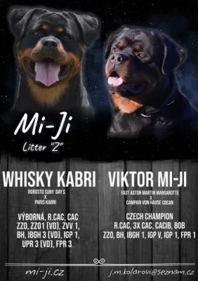 Štěňata RTW s PP