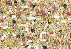 Kroměříž 17.3.2024 přijímáme objednávky.