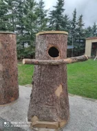 Kmenové bufky