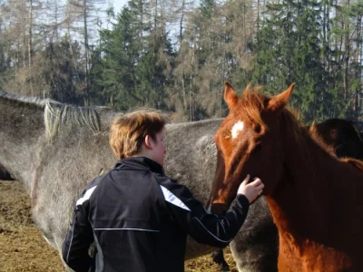 Výcvik koní s poruchou chování