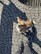 Daruji stěně