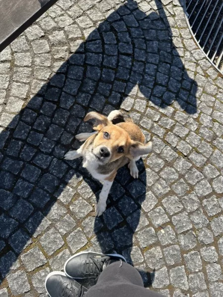 Daruji stěně