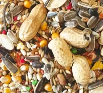 Týniště nad Orlicí 24.3.2024 přijímáme objednávky.