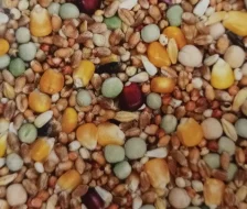 Týniště nad Orlicí 24.3.2024 přijímáme objednávky.