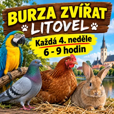 Burza Litovel každá 4 neděle v měsíci od 6-9 hodin