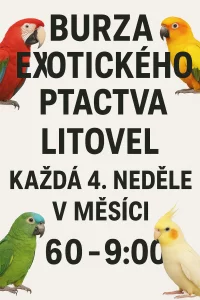 Burza Litovel každá 4 neděle v měsíci od 6-9 hodin 28.12