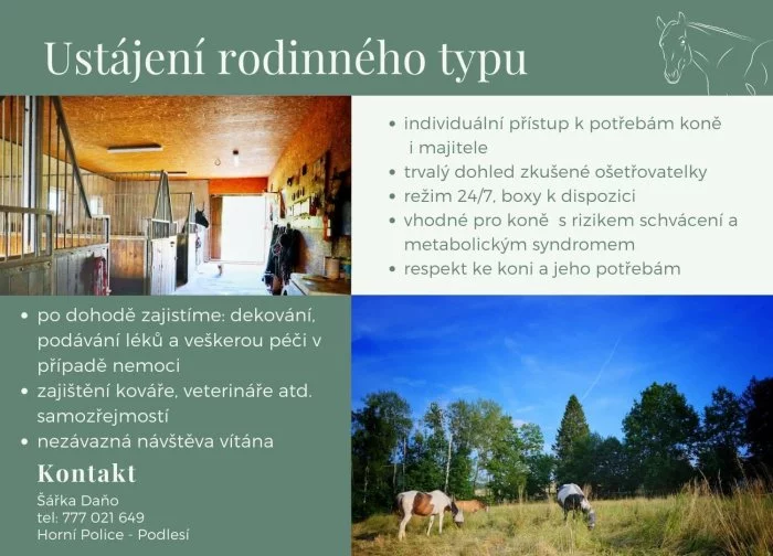 Nabídka ustájení