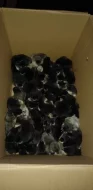 Násadová vejce velké a Zdrobnělé