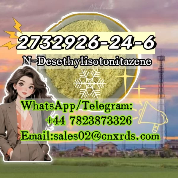 Professional Factory CAS 2732926-24-6