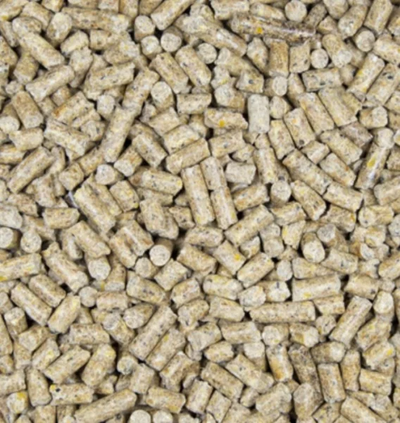 Směsi pro chov drůbeže Kampol