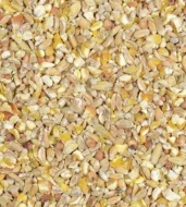 Směsi pro chov drůbeže Kampol