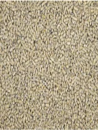 Směsi pro chov drůbeže Kampol