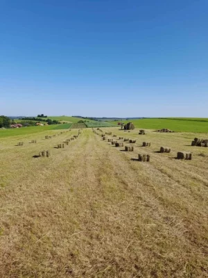 Malé balíky sena a slámy