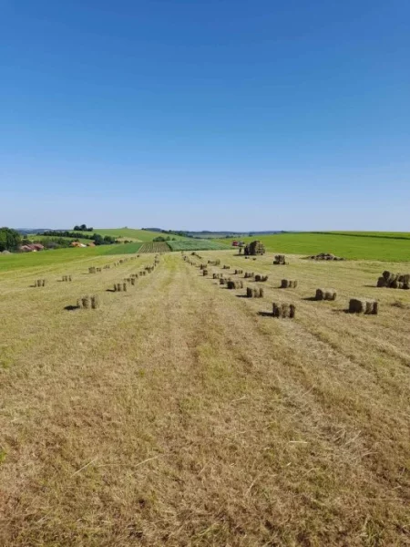 Malé balíky sena a slámy