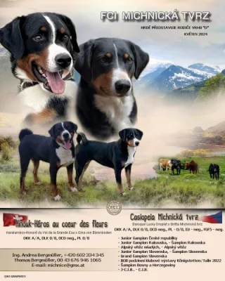 Appenzellský salašnický pes s PP