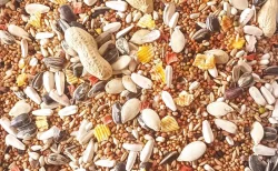 Týniště nad Orlicí 28.4.2024 přijímáme objednávky.