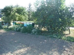 Včelí úly, příslušenství, včelstva - nemoc