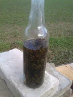 Včelí úly, příslušenství, včelstva - nemoc