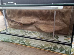 Terárium 120*50*50cm