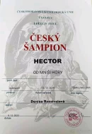 Bullmastif s PP ke krytí