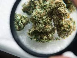 WhatsApp  +33753248207 Buy coke/Cocaine in Paris, France, Buy weed in Paris, Buy weed in Lyon, Buy weed in Toulouse