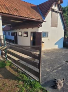 Ustájení koni