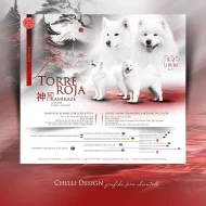 KAIDZU LA TORRE ROJA- samojed s FCI PP