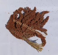Chovatelské potřeby, krmení pro papoušky - NEJLEPŠÍ CENA !!!!!!