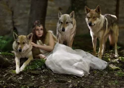 Československý vlčák - dva volní kluci k rezervaci