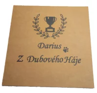 Vánoční baňka se jménem mazlíčka