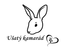 Vánoční baňka se jménem mazlíčka