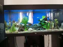 Akvárium Rio 180 LED