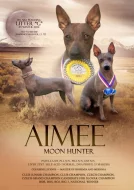 Americký bezsrstý teriér