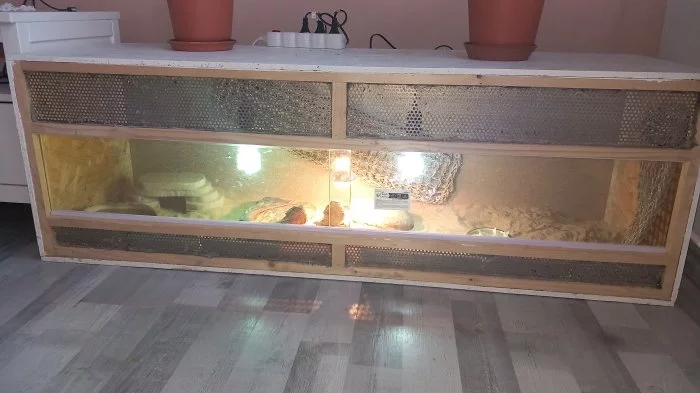 Agamy vousaté s terariem