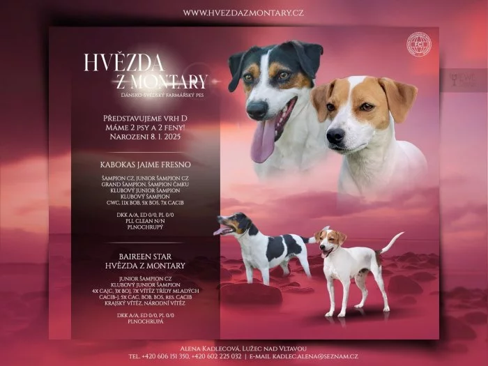 Dánsko-švédský farmářský pes