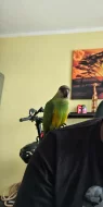 Nabídka