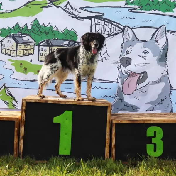 3. Kružberský Tesák