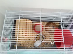 Křeček s klecí a výbavou