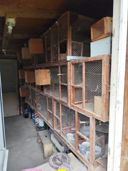 Daruji stěnu klecí