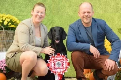 Nabízím úžásná štěňátka Flat Coated Retrívra – k odběru 21. 6. 2025