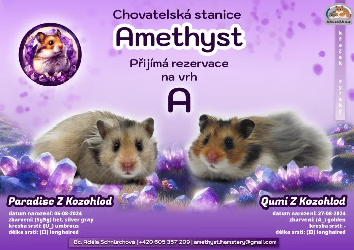 Křeček syrský s PP